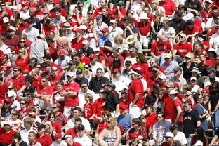 开云体育中国官方网站-高校体育赛事观众体验提升策略研究，体育赛事审美体验